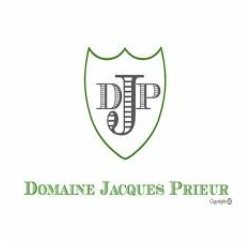 DJP-Logo